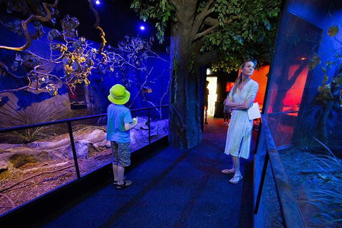 Wildlife Habitat Port Douglas - Hervey Bay Accommodation 4