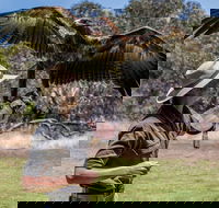 One Day Kangaroo Island Sip  See tour with return ferry transfers from Adelaide - Hervey Bay Accommodation