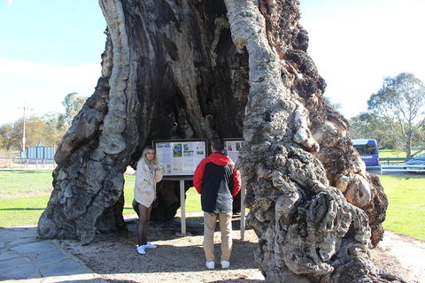 Barossa And Hahndorf Day Trip From Adelaide Including Wine Tasting And Lunch - Hervey Bay Accommodation 1