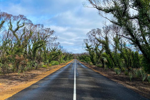 2 Day Ultimate Kangaroo Island With Return Ferry - Hervey Bay Accommodation 4