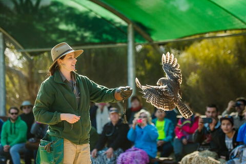 Full Day Kangaroo Island Sip And See Tour Departing From Kangaroo Island - Hervey Bay Accommodation 1