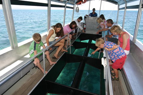 Cairns City Sights And Surrounds Tour - Hervey Bay Accommodation 5