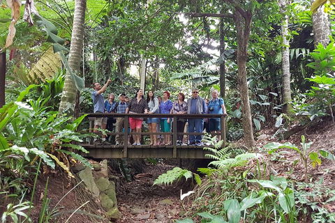 Cairns Shore Excursion: Cairns City Sights & Surrounds Tour - Hervey Bay Accommodation 1