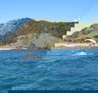 Kayaking with Dolphins in Byron Bay Guided Tour - Hervey Bay Accommodation