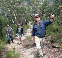 Small-Group Blue Mountains Tour with Bush Walks and Featherdale Wildlife Park - Hervey Bay Accommodation