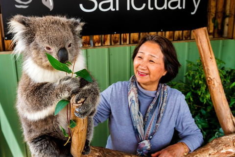 Moonlit Sanctuary Wildlife Conservation Park Daytime General Entry Ticket - Hervey Bay Accommodation 0