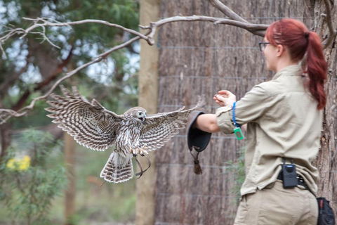 Moonlit Sanctuary Wildlife Conservation Park Daytime General Entry Ticket - Hervey Bay Accommodation 1