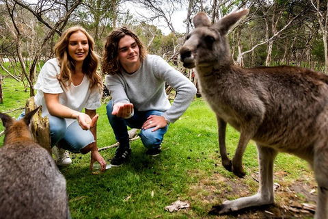 Moonlit Sanctuary Wildlife Conservation Park Daytime General Entry Ticket - Hervey Bay Accommodation 2