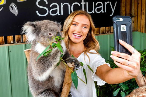 Moonlit Sanctuary Wildlife Conservation Park Daytime General Entry Ticket - Hervey Bay Accommodation 4