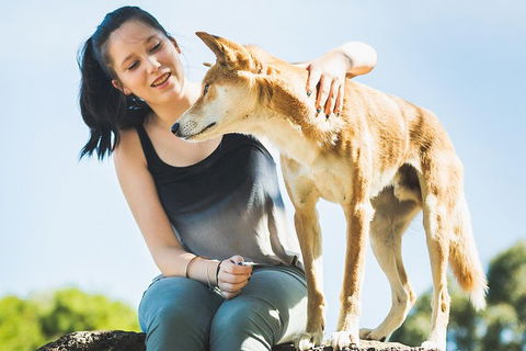 Moonlit Sanctuary Wildlife Conservation Park Daytime General Entry Ticket - Hervey Bay Accommodation 5