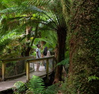 Great Ocean Road to Grampians 2 Day 1 Night Tour from Melbourne to Adelaide - Hervey Bay Accommodation