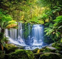 Day Tour in Mt. Field Mt. Wellington Bonorong Wildlife Sanctuary and Richmond - Hervey Bay Accommodation