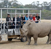 Off-Road Safari at Werribee Open Range Zoo - Hervey Bay Accommodation