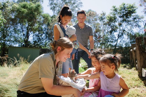 Featherdale Wildlife Park General Admission - Hervey Bay Accommodation 0