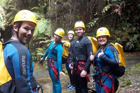 Full-Day Canyoning Experience At Stunning Empress Canyon - Hervey Bay Accommodation 1