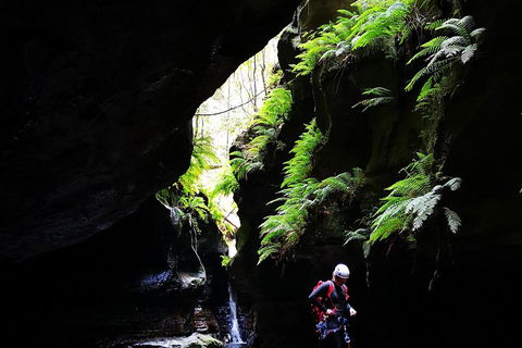 Full-Day Canyoning Experience At Stunning Empress Canyon - Hervey Bay Accommodation 2