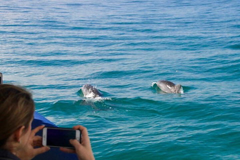 Julian Rocks Byron Bay Cruise - Tourism Hervey Bay 1