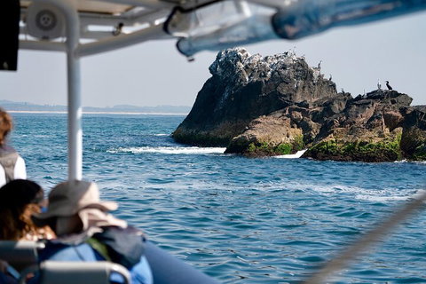Julian Rocks Byron Bay Cruise - Tourism Hervey Bay 2