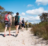 Pittwater Discovery Kayaking Tour - Hervey Bay Accommodation