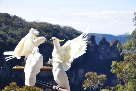Private Blue Mountains Tour - Hervey Bay Accommodation 1