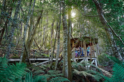 Private Blue Mountains Tour - Hervey Bay Accommodation 4