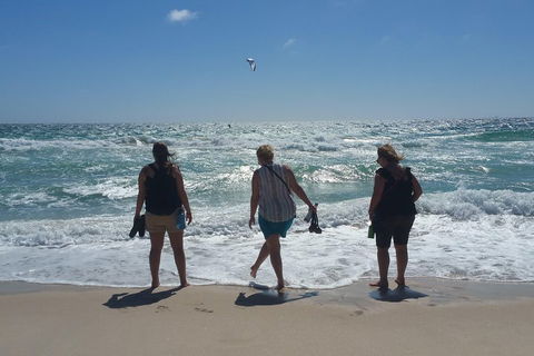 Very Best Of Perth Tour - Wildlife Park & City Highlights Tour - Hervey Bay Accommodation 5