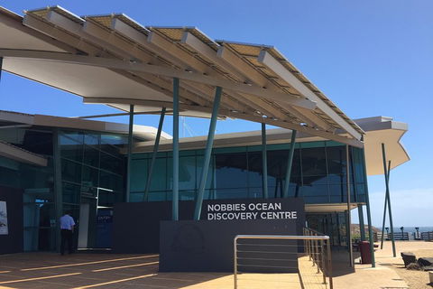 Phillip Island Penguin And Koala Highlights Day-Trip From Melbourne - Tourism Hervey Bay 1