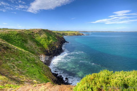 Phillip Island Penguin And Koala Highlights Day-Trip From Melbourne - Tourism Hervey Bay 5