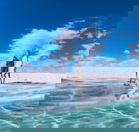 4-Day Coastal Loop via Monkey Mia Wild Dolphins Kalbarri Pinnacles Perth Return - Hervey Bay Accommodation