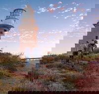 6-Day Coral Coaster from Perth to Exmouth One-Way via Monkey Mia Ningaloo Reef - Hervey Bay Accommodation