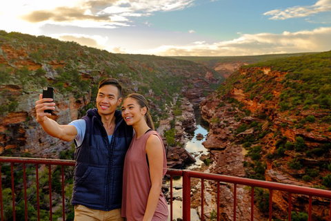 6-Day Coral Coaster From Perth To Exmouth One-Way Via Monkey Mia Ningaloo Reef - Hervey Bay Accommodation 1