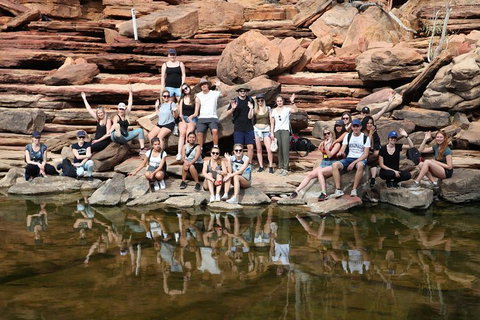 6-Day Coral Coaster From Perth To Exmouth One-Way Via Monkey Mia Ningaloo Reef - Hervey Bay Accommodation 2