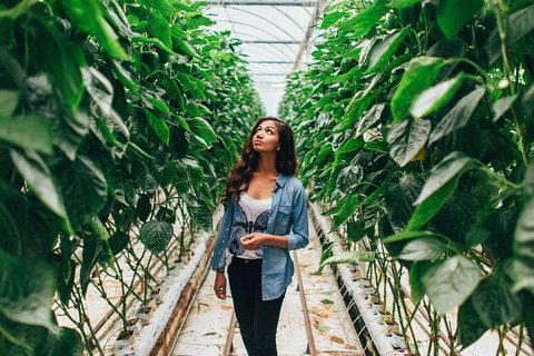 Yarra Valley Local Produce And Wine Tasting Tour - Hervey Bay Accommodation 0