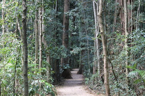 Eumundi Markets And Sunshine Coast Day Trip From Brisbane - Hervey Bay Accommodation 4