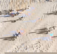 Unlimited Sandboarding - Tourism Hervey Bay