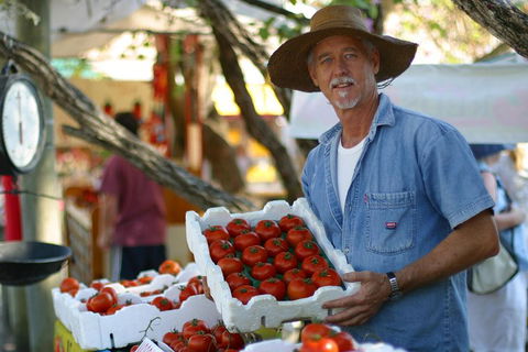 Sunshine Coast Eumundi Markets Return Minibus Transfer - Hervey Bay Accommodation 5
