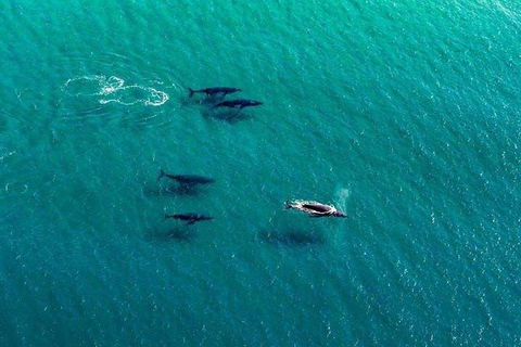 40-45 Minute Port Stephens And Stockton Beach Helicopter Flight - For 2 - Hervey Bay Accommodation 0