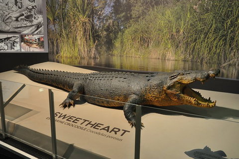 Explore Darwin City Sights Including Key Attractions - Tourism Hervey Bay 2