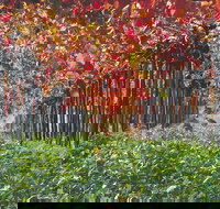 Margaret River Private Tour - Hervey Bay Accommodation