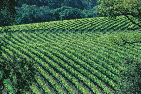 Margaret River Private Tour - Hervey Bay Accommodation 4