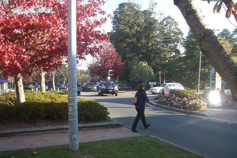 PRIVATE All-Day Blue Mountains Tour With Professional Guide For Up To 4 People - Tourism Hervey Bay 1