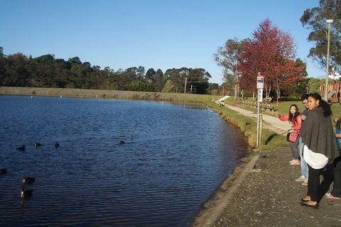 PRIVATE All-Day Blue Mountains Tour With Professional Guide For Up To 4 People - Tourism Hervey Bay 2