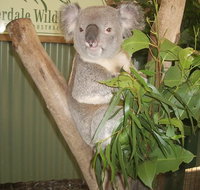 Blue Mountains Private Full-Day Tour from Sydney with Cruise - Hervey Bay Accommodation