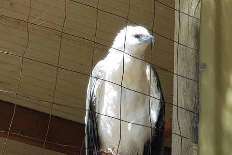 Phillip Island Penguin And Wildlife Tour - Tourism Hervey Bay 5