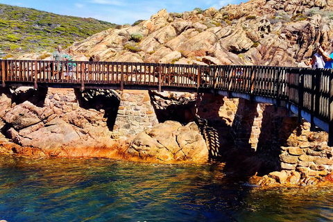 Margaret River (Private) Day Tour - Tourism Hervey Bay 3