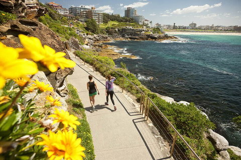 Sydney Uncovered Full-Day Tour - Hervey Bay Accommodation 1