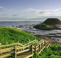 Full-Day Private Australian Wildlife Tour of Phillip Island - Hervey Bay Accommodation
