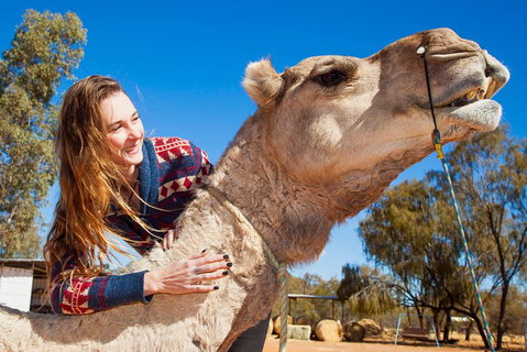 Alice Springs Camel Tour - Hervey Bay Accommodation 2