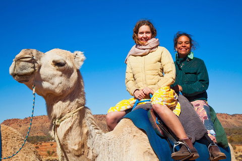 Alice Springs Camel Tour - Hervey Bay Accommodation 3