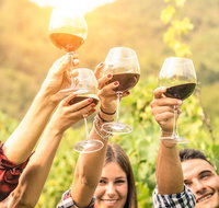 Adelaide Hills Day Tour. Winery Cellar Doors - Hervey Bay Accommodation